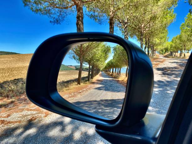 le reflet vu dans le miroir du conducteur - toute allée italienne traditionnelle bordée d’arbres en toscane, en italie. - italian spinone photos et images de collection
