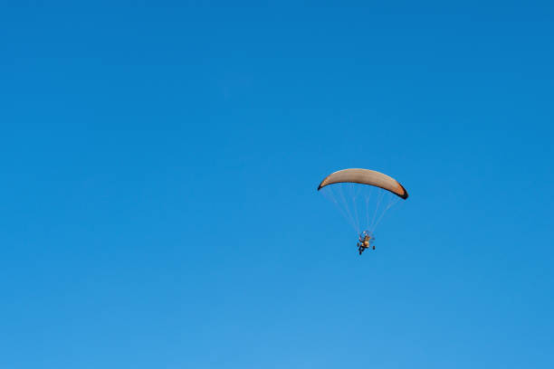 istock A powered paraglider trike flying over clear blue sky back view 1365633810