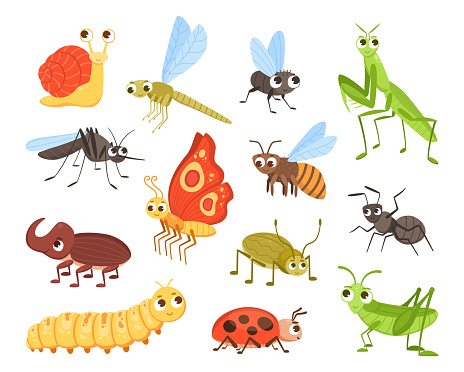Cute insects. Cartoon bug and butterfly mascots. Ladybug and dragonfly. Colorful beetles and snail with happy faces. Funny caterpillar or mosquito characters. Vector small animals set