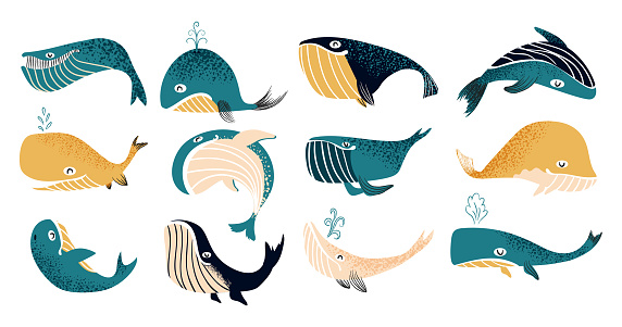 Whale. Cute sea animal. Cartoon blue ocean characters for stickers and children illustration. Isolated humpbacks and cachalot. Swimming aquatic creature with water fountain. Vector marine mammals set