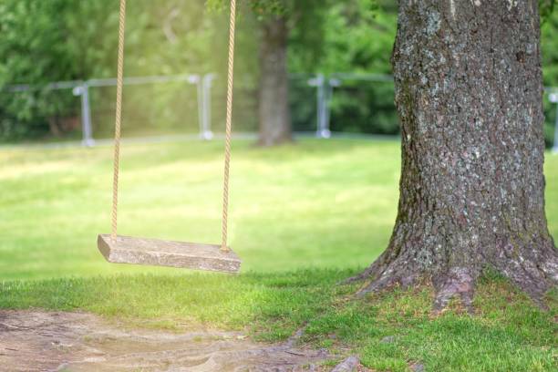 istock Empty rope swing on tree with wooden board lighted by sun light 1365637095