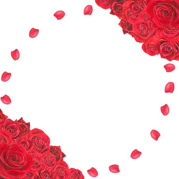 istock Frame of red roses and petals, watercolor illustration. 1365639101