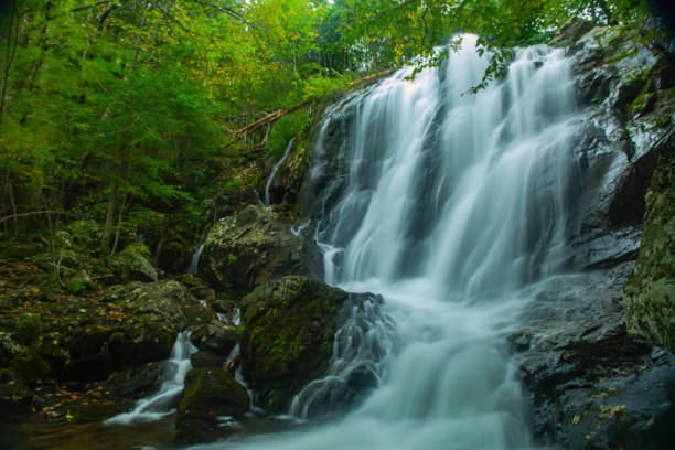istock Beautiful Waterfall in Shenandoah National Park 1365642423