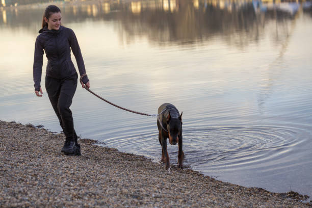 istock Girl with dog 1365646906