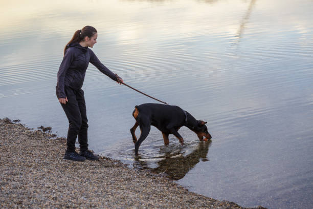 Girl with dog