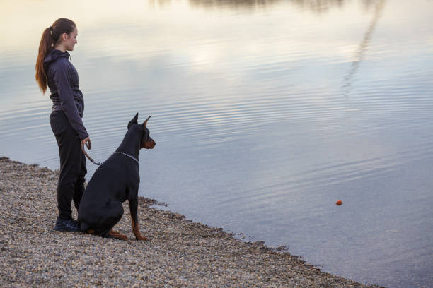 istock Girl with dog 1365646933