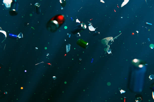 istock Sea Turtle swims through discarded rubbish. 1365648358