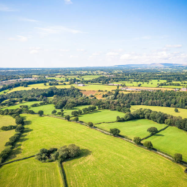 Rural English horizon An aerial view looking towards the late summer horizon, over traditional English fields, separated by hedges and trees. patchwork landscape stock pictures, royalty-free photos & images