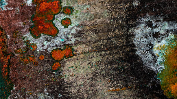 istock copper sheet with colored patina. background or texture 1365653142