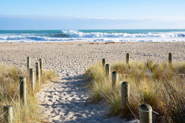 Free picture: sandy, path