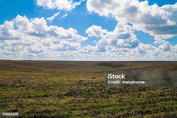 Campo Foto de stock y más banco de imágenes de Agricultura - Agricultura, Aire libre, Ajardinado