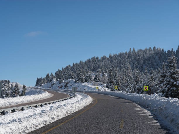 istock Highway and snow covered forest and 1365657651
