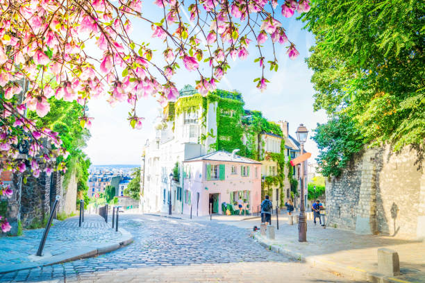 cityscape Mont Matre , Paris, France View of old street in quarter Montmartre in Paris, France. Cozy cityscape of Paris at spring with flowers. Architecture and landmarks of Paris. montmartre stock pictures, royalty-free photos & images
