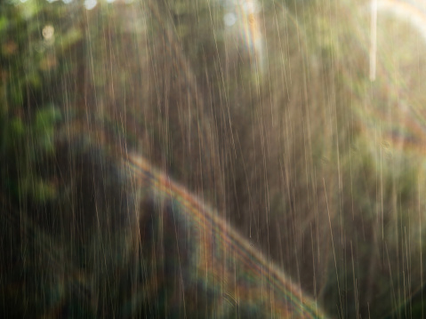 Blurred heavy rain with many droplets and green nature blurry background, in the rays of the setting sun