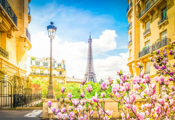 istock eiffel tour and Paris street 1365664263