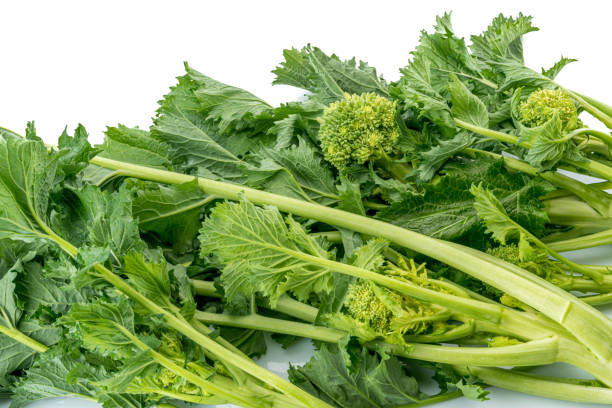 Fresh turnip tops, cime di rape Fresh turnip tops, italian cime di rapa, isolated on white background brassica rapa stock pictures, royalty-free photos & images