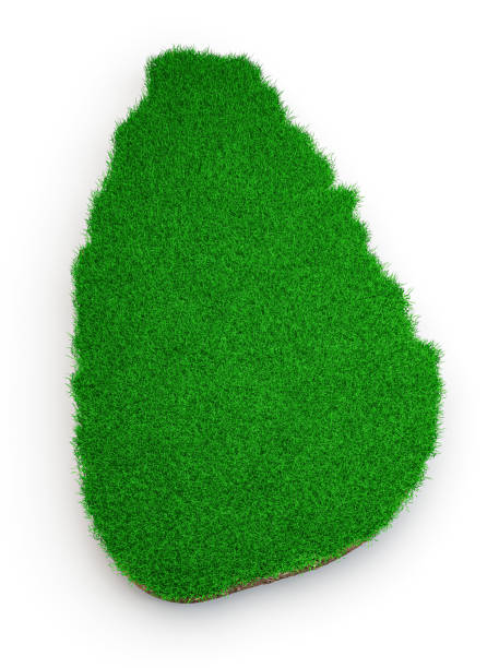 istock Sri Lanka Map Grass and ground Ceylon Map texture 3d illustration 1365670942