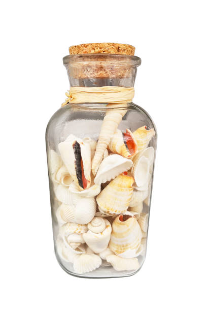istock Various sea shells in crystal jar with cork tap 1365671500