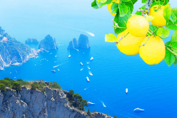 istock Capri island, Italy 1365672775