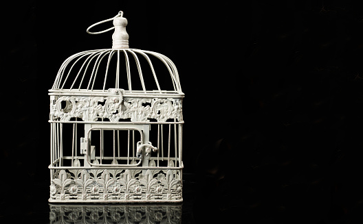 Antique bird cages