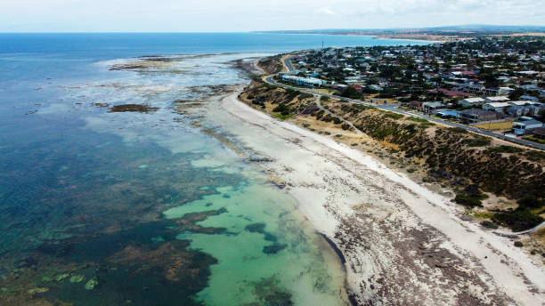 istock Beautiful South Australia Reef Fleurieu Coast  snorkelling destination at Port Willunga 1365676716
