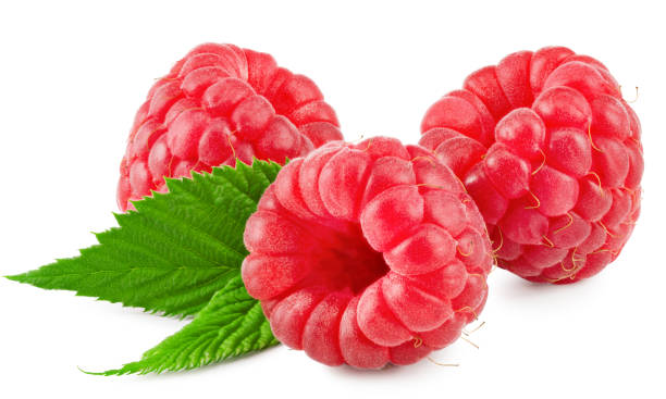 istock ripe raspberries with green leaf isolated on white background. clipping path 1365679176