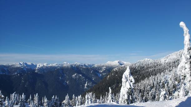 istock Snowcapped mountain and pine trees on a ski resort 1365681783
