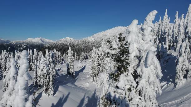 snowcapped mountain and pine trees on a ski resort - mt seymour provincial park imagens e fotografias de stock