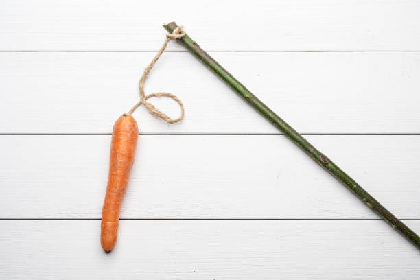 the carrot and the stick the carrot tied at the stick on a white wooden background as the concept of the old educational method lifehack stock pictures, royalty-free photos & images