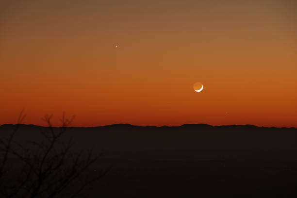 istock Tree silhouettes, stars and Moon on a vivid sky. 1365684981