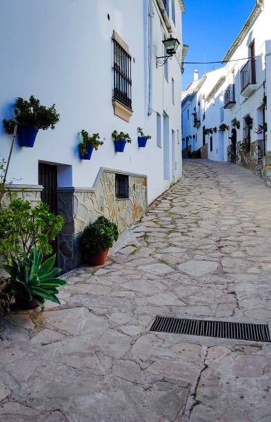 istock Flowers in the street 1365686304