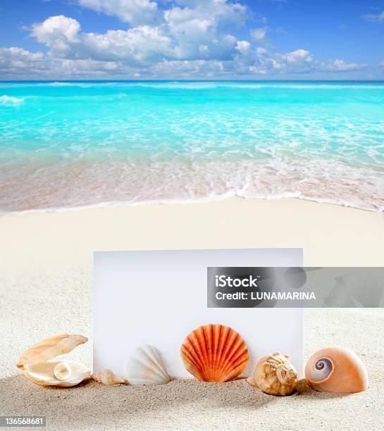 Beach Vacation Sand Pearl Shells Snail Blank Paper Stock Photo - Download Image Now - Animal Shell, Beach, Beauty In Nature