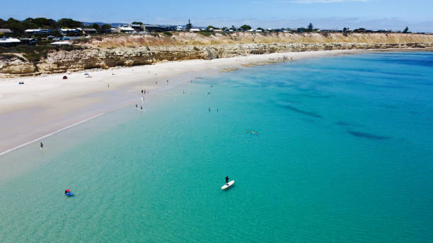 água azul clara turqoise água aérea praia vista drone fotografia de pessoas nadando surfando e paddle boarding - sul da austrália - fotografias e filmes do acervo