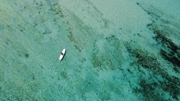 istock Paddle boarder aerial drone view in calm water 1365689470