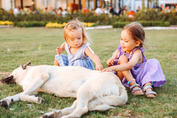 Two cute sister kid girls play in park stray dog spitz standing on road over nature background. Childhood. Friendship. Happiness.