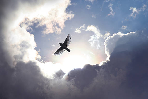 ангел птица в рай - dreams cloud angel heaven стоковые фото и изображения