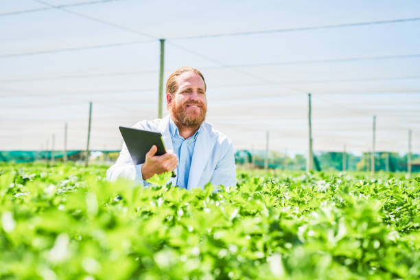 istock Shot of a botanist using a digital tablet while inspecting crops on a farm 1365691402