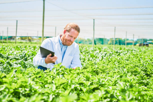 istock Shot of a botanist using a digital tablet while inspecting crops on a farm 1365691414