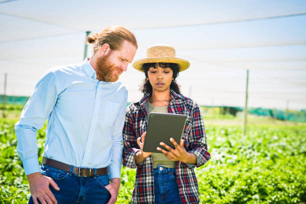 istock Shot of a young man and woman using a digital tablet while working together on a farm 1365693887