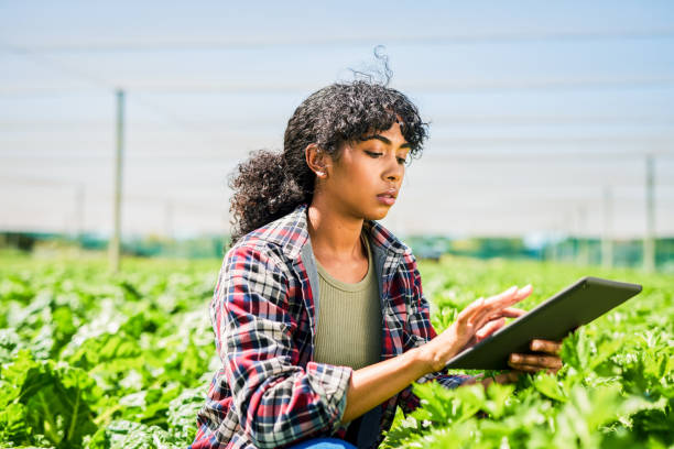 istock Shot of a young woman using a digital tablet while inspecting crops on a farm 1365693906