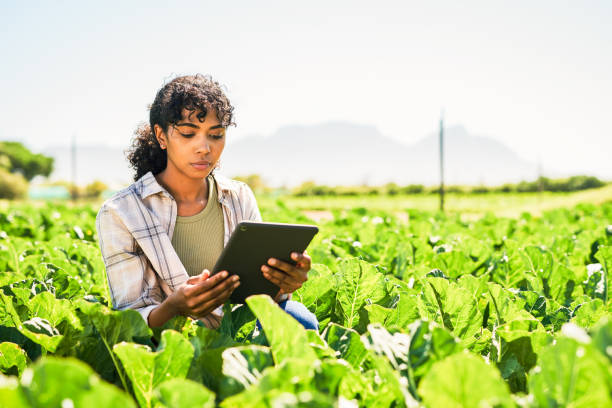 istock Shot of a young woman using a digital tablet while inspecting crops on a farm 1365693919