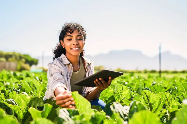 Photo of Shot of a young woman using a digital tablet while inspecting crops on a farm