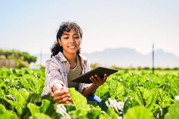 снимок молодой женщин ы с помощью цифрового планшета во время осмотра посевов на ферме - сельское хозяйство стоковые фото и изображения