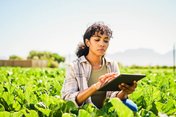 istock Shot of a young woman using a digital tablet while inspecting crops on a farm 1365693931