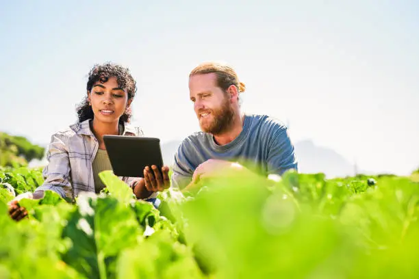 Photo of Shot of a young man and woman using a digital tablet while inspecting crops on a farm