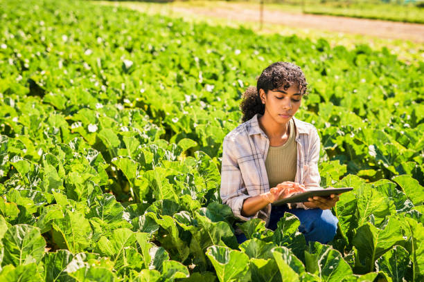 istock Shot of a young woman using a digital tablet while inspecting crops on a farm 1365693936