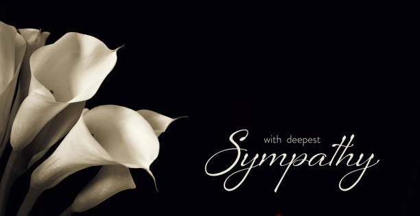 istock Condolence card with white calla lilies isolated on black background with copy space 1365696396
