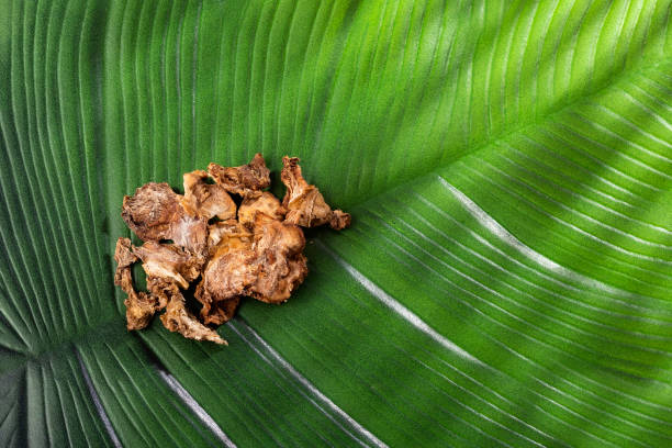 istock Smallanthus sonchifolius - Dehydrated yacon root on the green leaf 1365696731