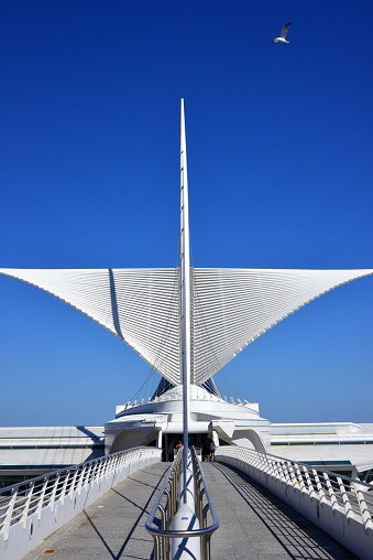 Milwaukee, Wisconsin, USA: Reiman Pedestrian Bridge aka Milwaukee Art Museum Pedestrian Bridge, a cable-stayed footbridge with semi-fan system leading to the Quadracci Pavilion of the Milwaukee Art Museum (MAM) with its iconic Burke brise soleil, spanning Lincoln Memorial Drive and Cudahy Gardens - the cables attach are in the center of the walkway - architect Santiago Calatrava.