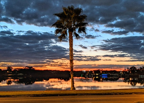 Sun setting by Palm Tree